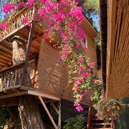 Large Bungalow With Sea View In Kabak Bay, Oeluedeniz Fethiye Kültér fotó