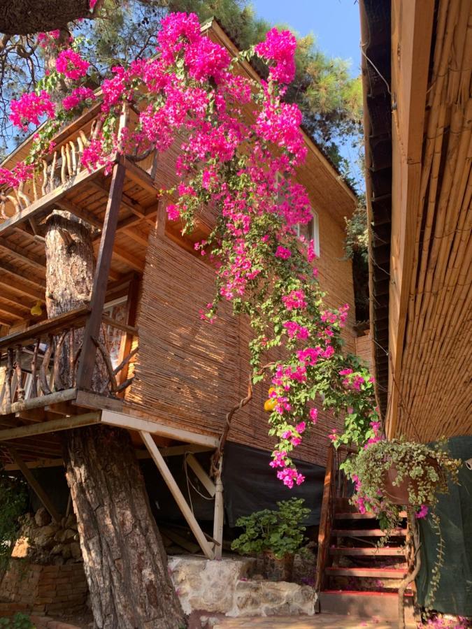 Large Bungalow With Sea View In Kabak Bay, Oeluedeniz Fethiye Kültér fotó